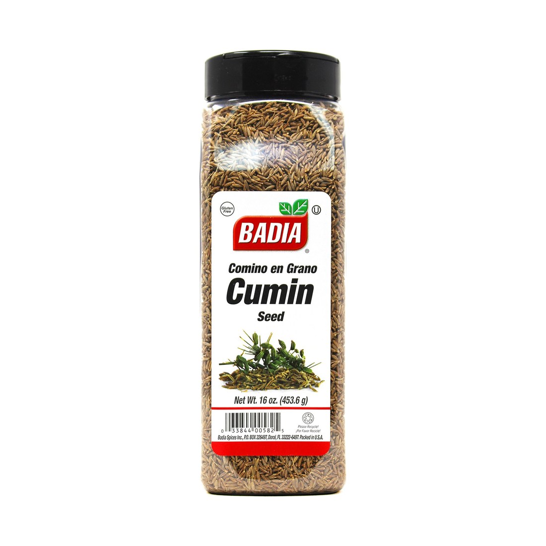 Cumin Seed Whole 16 Oz