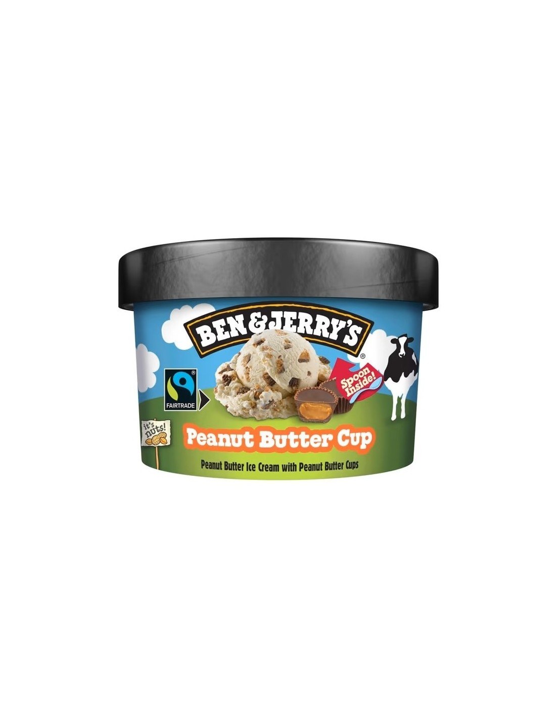 Ben & Jerry's Peanut Butter Cup Ice Cream 100ml