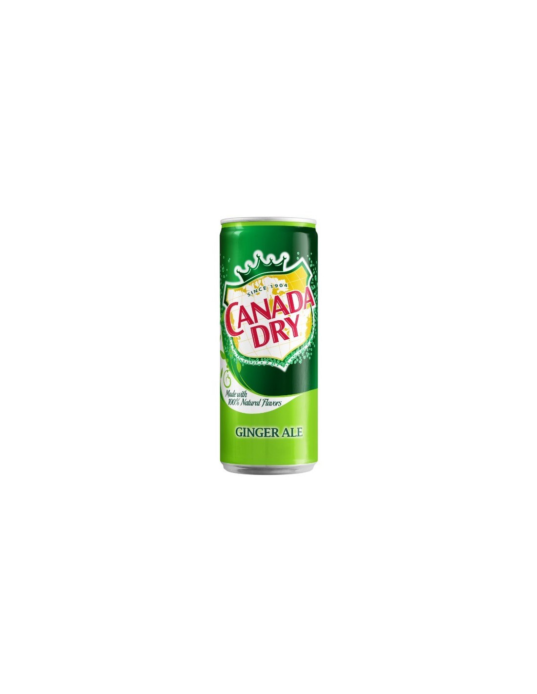 Canada Dry Ginger Ale 330ml