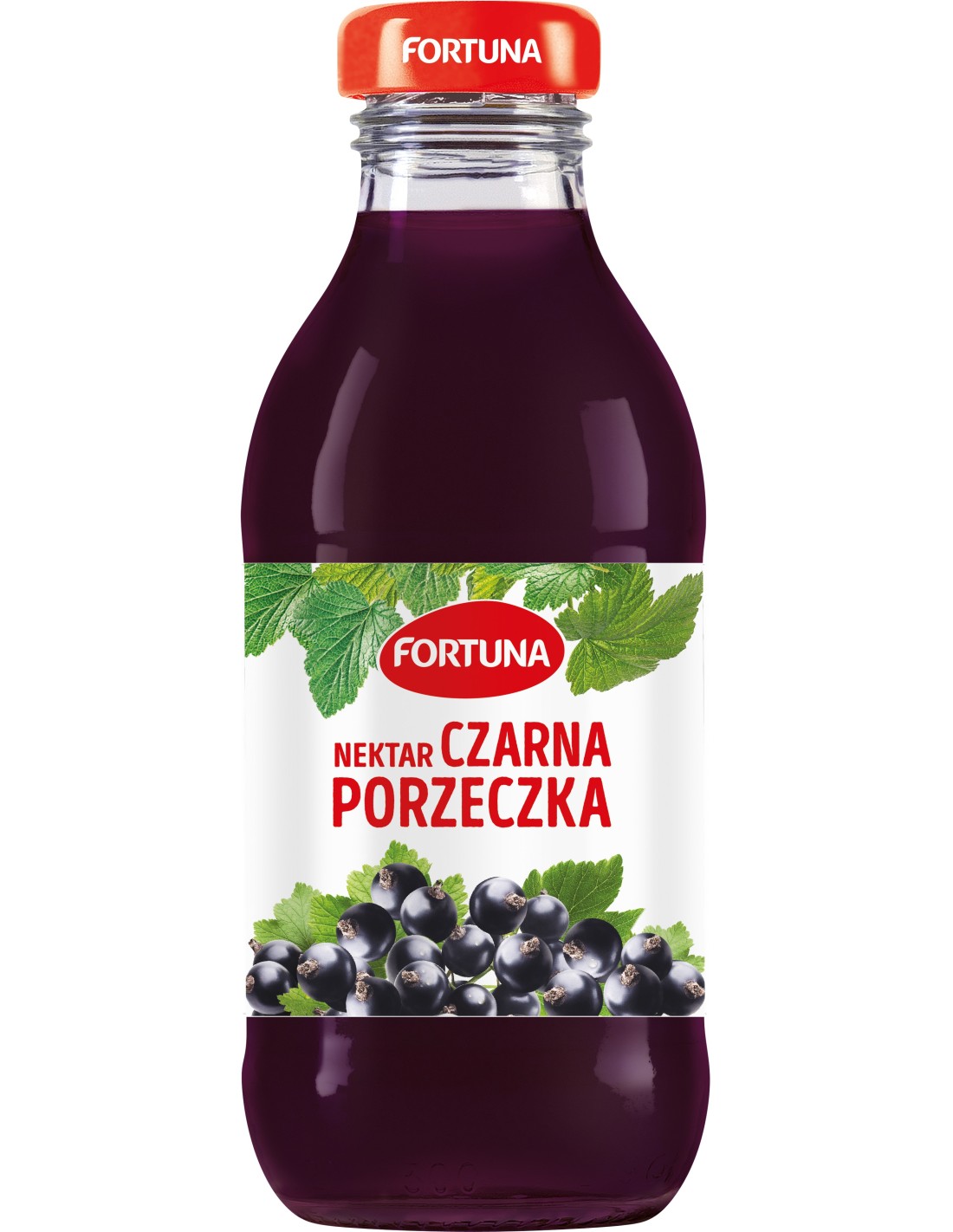 Fortuna Blackcurrant Nectar 300ml